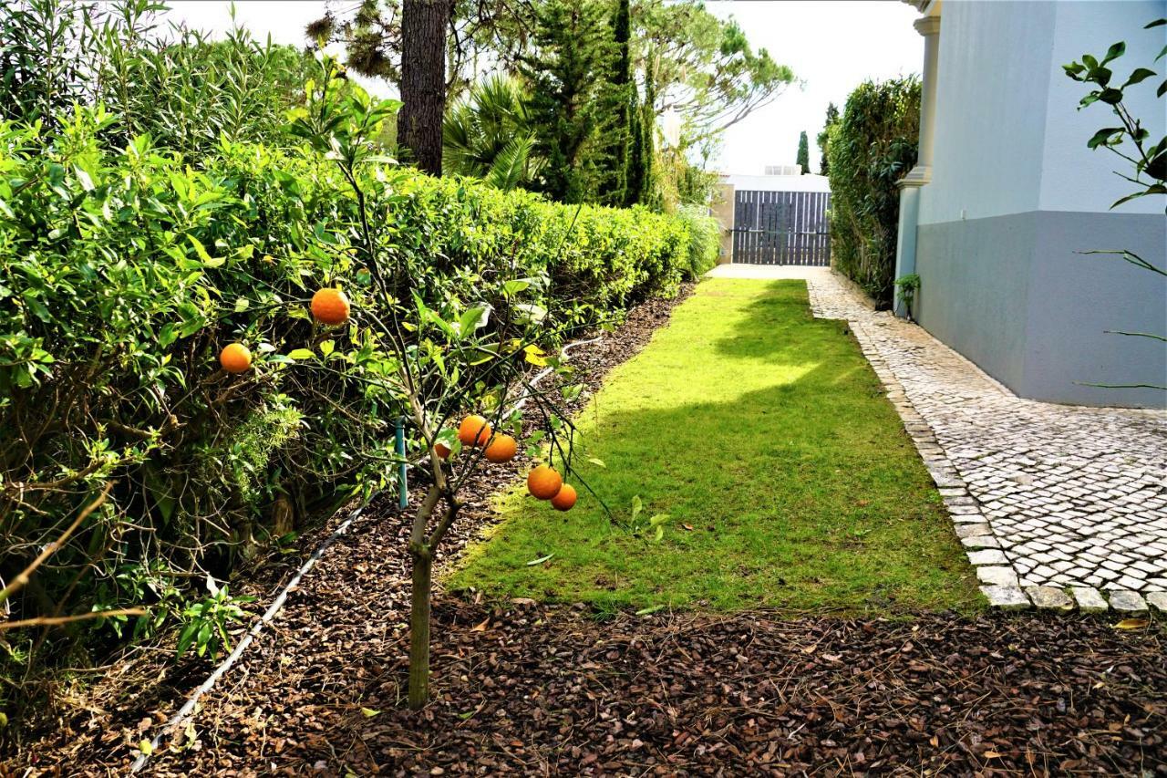 Charming Exceptional Golf Villa In Algarve FAO Exteriér fotografie